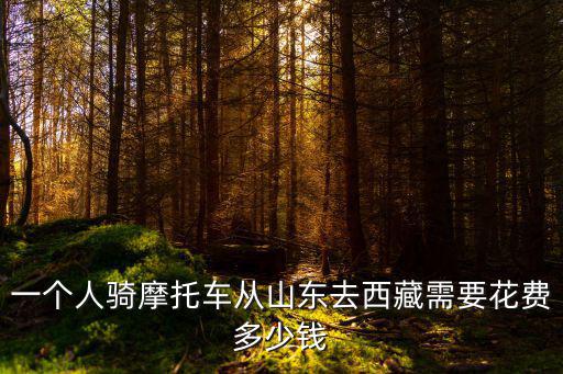 浙江騎摩托車去西藏要花多少錢,騎150摩托車去西藏旅游
