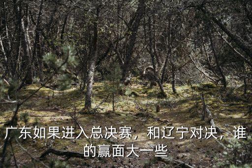 廣東如果進入總決賽，和遼寧對決，誰的贏面大一些