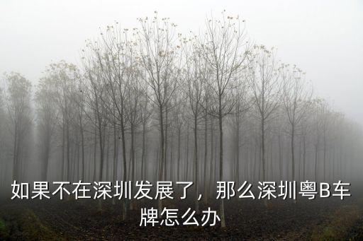 深圳現(xiàn)在的車牌多少錢2015年,深圳車牌過戶值多少錢
