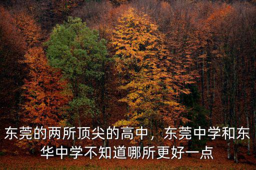 東莞的兩所頂尖的高中，東莞中學和東華中學不知道哪所更好一點