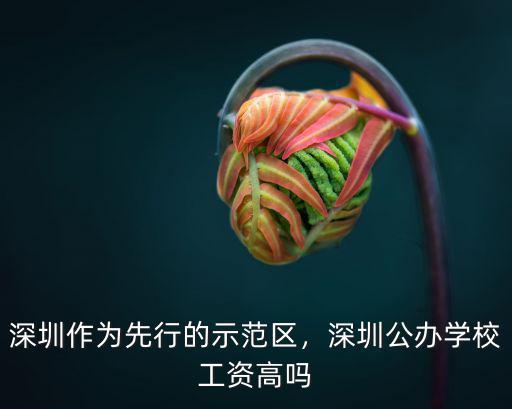 深圳作為先行的示范區(qū)，深圳公辦學(xué)校工資高嗎