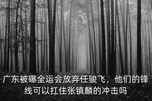 張鎮麟全運會廣東多少分,能擊敗廣東衛冕全運會冠軍嗎