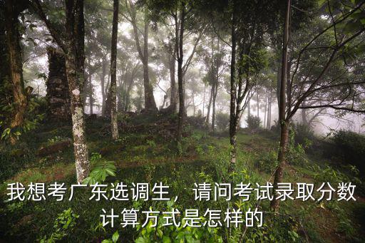 我想考廣東選調生，請問考試錄取分數計算方式是怎樣的