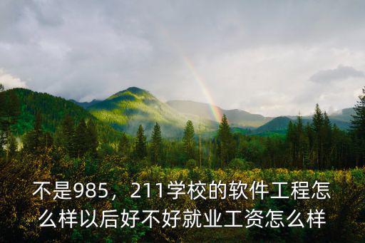 不是985，211學(xué)校的軟件工程怎么樣以后好不好就業(yè)工資怎么樣