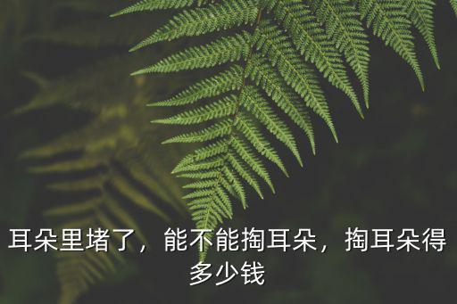 耳朵里堵了，能不能掏耳朵，掏耳朵得多少錢