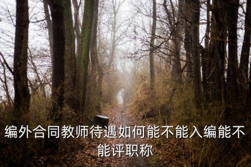 編外合同教師待遇如何能不能入編能不能評職稱