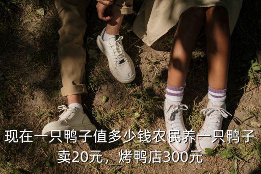湛江今日鴨價多少錢一只,活鴨子一只需要幾十塊錢