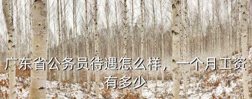 廣東省公務員待遇怎么樣，一個月工資有多少