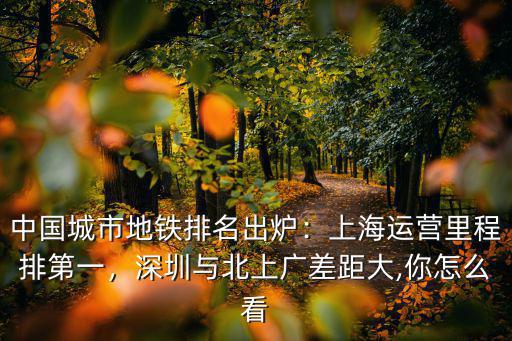 中國城市地鐵排名出爐：上海運營里程排第一，深圳與北上廣差距大,你怎么看