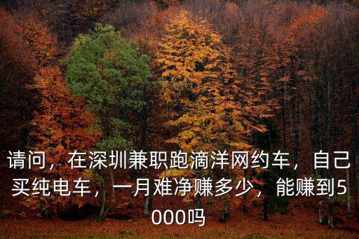 請問，在深圳兼職跑滴洋網約車，自己買純電車，一月難凈賺多少，能賺到5000嗎