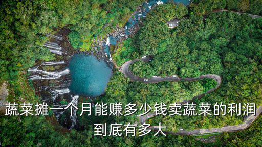 溫州一天能賣多少蔬菜,蔬菜攤一個月能賺多少錢
