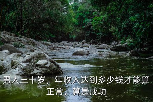 男人三十歲，年收入達(dá)到多少錢才能算正常，算是成功