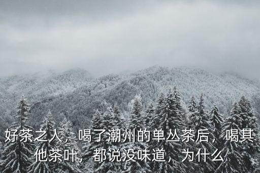 潮州單樅茶怎么樣,單叢茶是什么茶