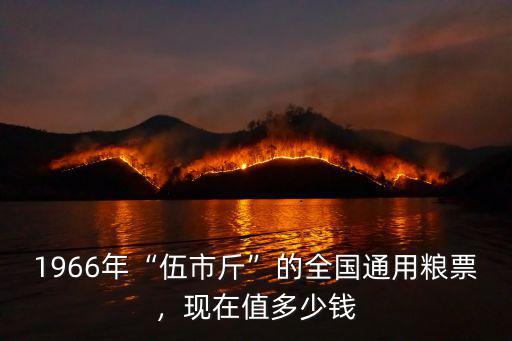廣東省通用糧票1968值多少錢,現(xiàn)在值多少錢
