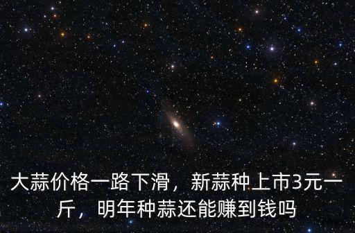 大蒜價格一路下滑，新蒜種上市3元一斤，明年種蒜還能賺到錢嗎