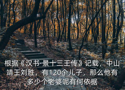廣東中山靖王有多少兒子,靖王有多少個兒子