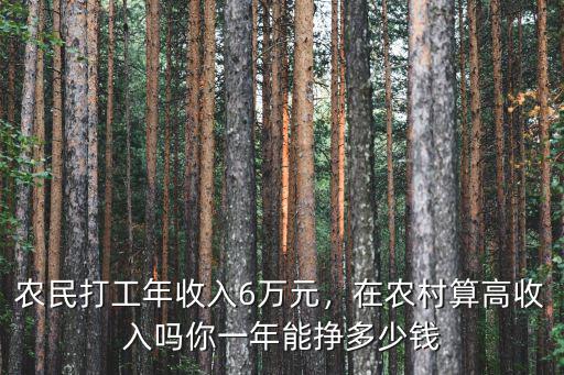 農(nóng)民打工年收入6萬(wàn)元，在農(nóng)村算高收入嗎你一年能掙多少錢(qián)
