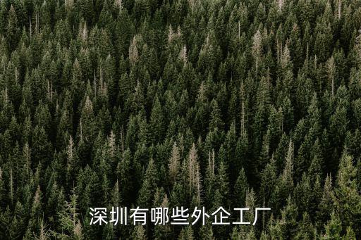深圳有哪些外企工廠