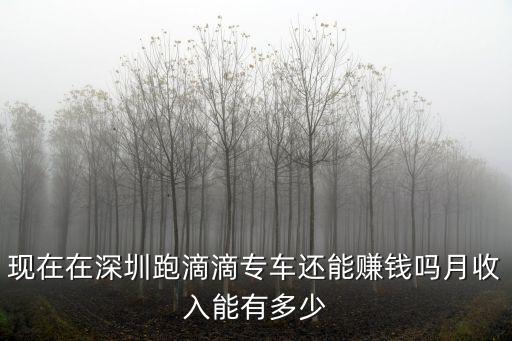 現在在深圳跑滴滴專車還能賺錢嗎月收入能有多少