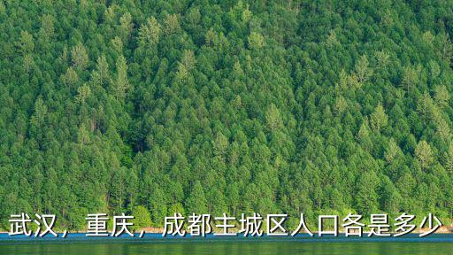 武漢，重慶，成都主城區人口各是多少