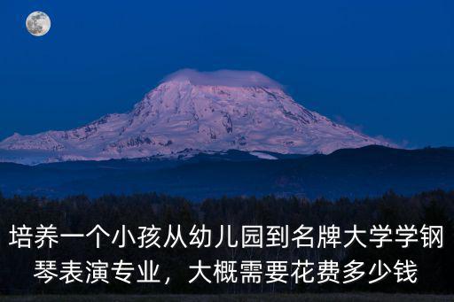 培養一個小孩從幼兒園到名牌大學學鋼琴表演專業，大概需要花費多少錢