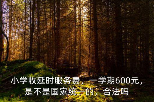 惠州晚托多少錢一學期,一學期600元