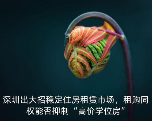 深圳帶學位房房租會高多少,租購同權能否抑制高價學位房