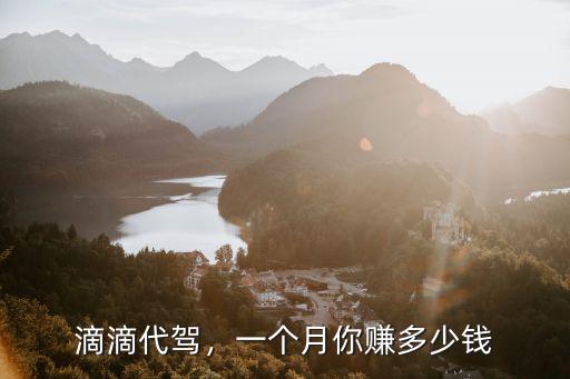 滴滴代駕，一個月你賺多少錢