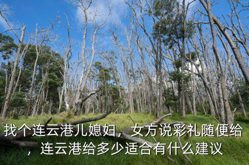 連云港新浦金仕堡多少錢,連云港給多少適合