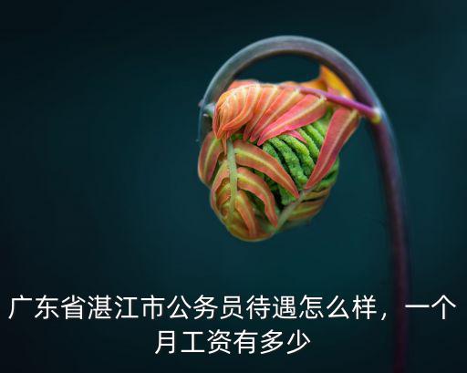 廣東省湛江市公務員待遇怎么樣，一個月工資有多少