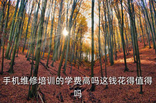 深圳修手機(jī)師傅多少錢一個(gè)月多少錢,手機(jī)維修師傅多少錢一個(gè)月