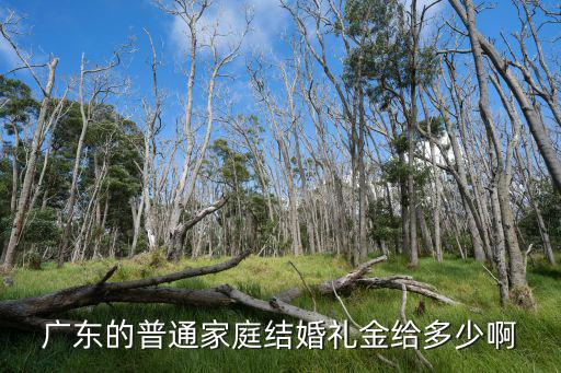 廣東的普通家庭結婚禮金給多少啊
