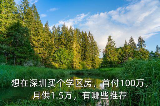 深圳寶安中心學區房在哪里最好,想在深圳買個學區房