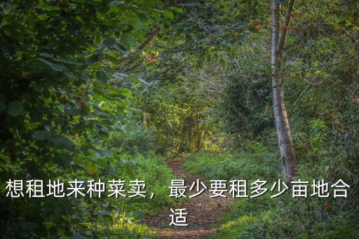 想租地來種菜賣，最少要租多少畝地合適