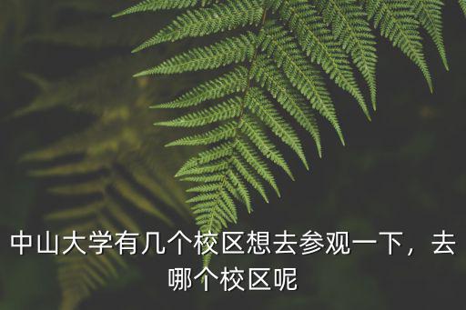 中山大學校區面積有多少公里,中山大學有幾個校區