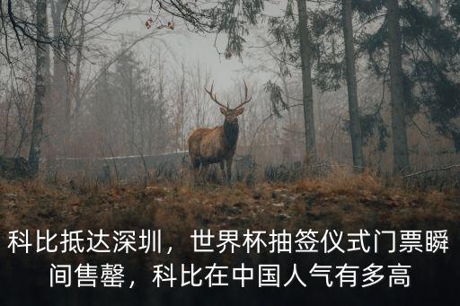 男籃世界杯在深圳哪里抽簽,2019男籃世界杯抽簽