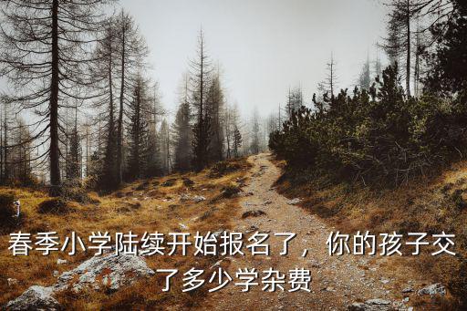 春季小學陸續開始報名了，你的孩子交了多少學雜費