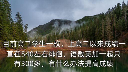 目前高二學生一枚，上高二以來成績一直在540左右徘徊，語數英加一起只有300多，有什么辦法提高成績