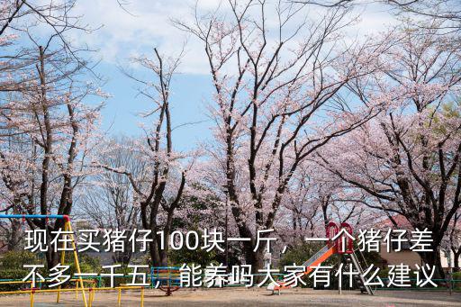 廣東三雜豬仔多少一個,一個豬仔差不多一千五