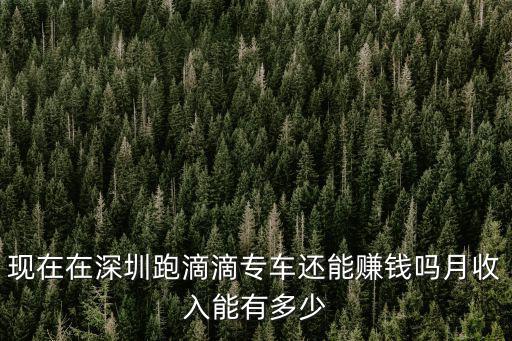 深圳去香港專車多少錢一個月多少錢一個月,一個月大概能跑多少錢
