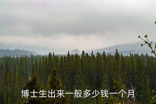 廣州博士生一月工資多少,博士生出來一般多少錢一個月