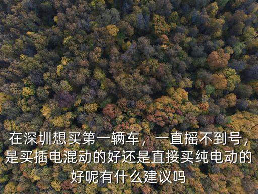 深圳可以買多少個電動車,深圳電動車限行