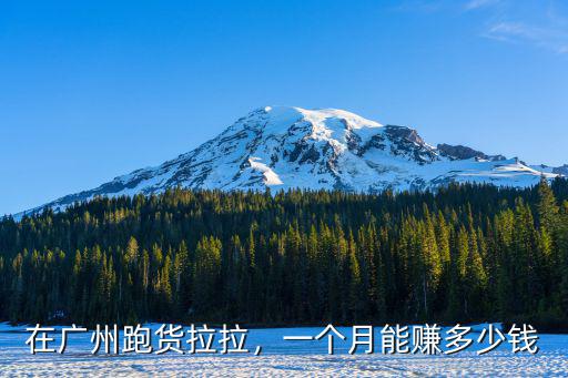 深圳開貨拉拉一個月收入多少錢,貨拉拉司機一個月能賺多少錢