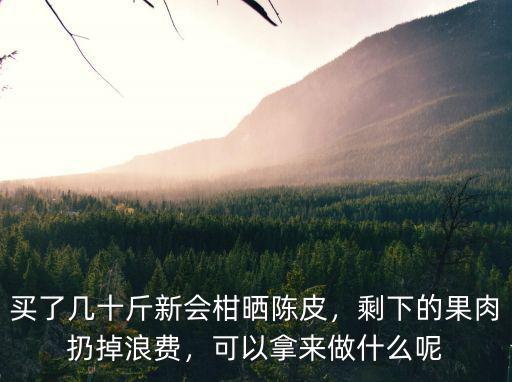 買了幾十斤新會柑曬陳皮，剩下的果肉扔掉浪費，可以拿來做什么呢