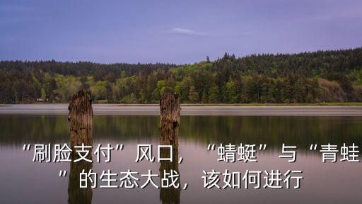 深圳青蛙怎么刷臉,和微信刷臉支付青蛙怎么看