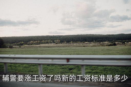 江蘇興化輔警工資是多少,大專輔警一般工資多少