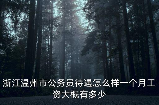 浙江溫州市公務(wù)員待遇怎么樣一個月工資大概有多少