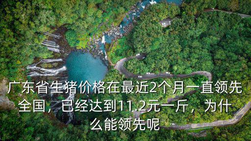 廣東省生豬價格在最近2個月一直領先全國，已經達到11.2元一斤，為什么能領先呢