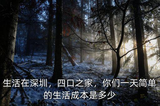 深圳生活成本提高多少,在深圳月薪多少才能活下去