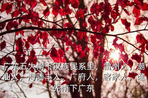 楊廣東是哪里人,為什么廣府人是廣東人的代表